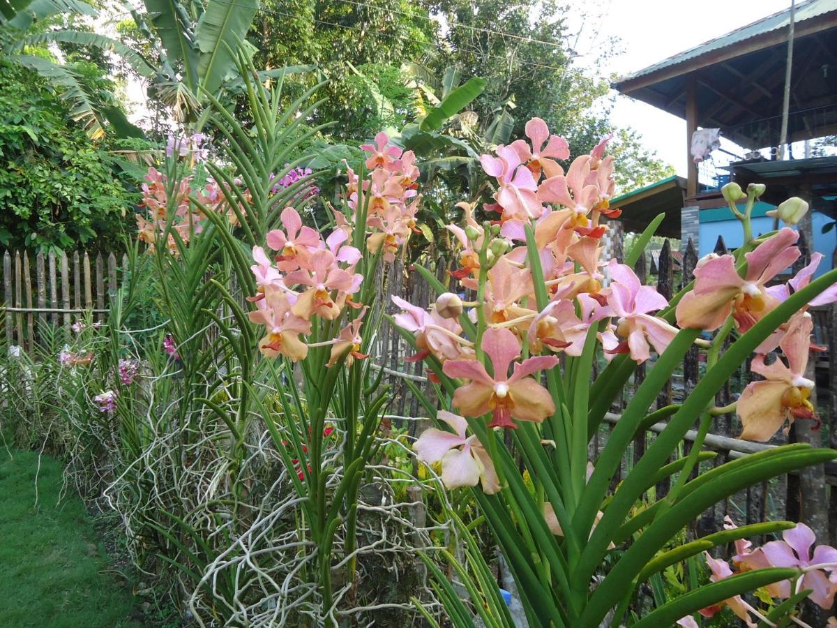Lhoyjean Garden Hostel Batuan 외부 사진