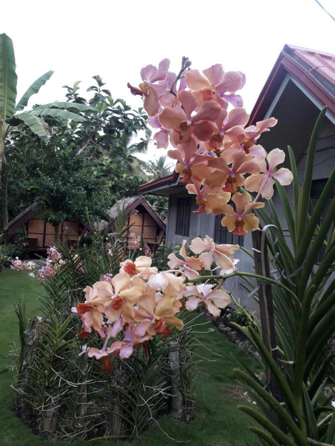 Lhoyjean Garden Hostel Batuan 외부 사진