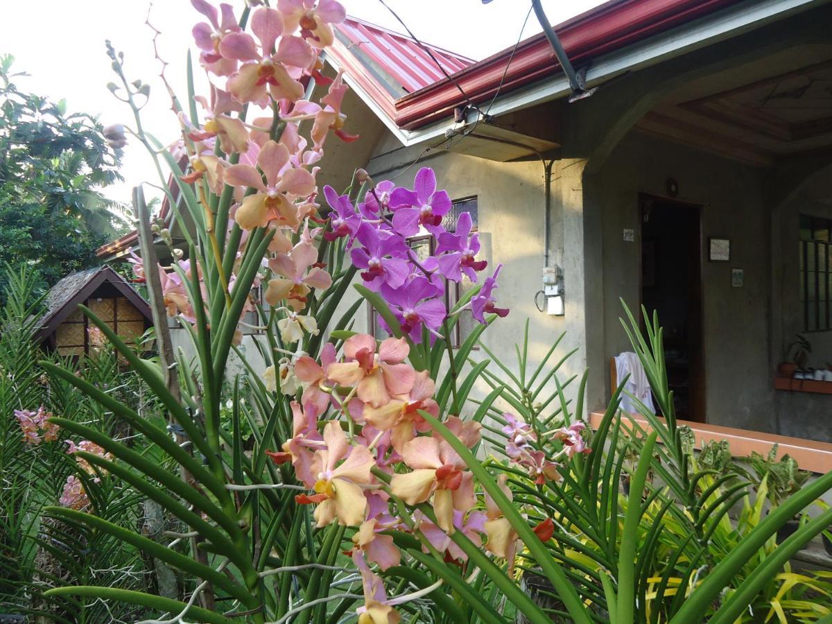 Lhoyjean Garden Hostel Batuan 외부 사진