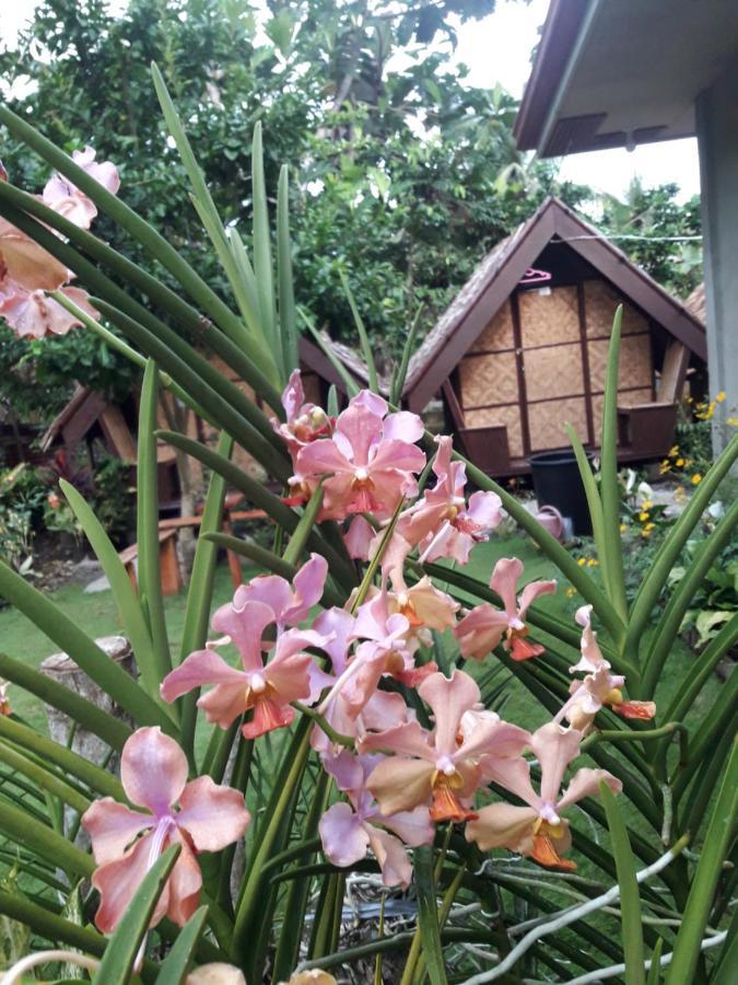 Lhoyjean Garden Hostel Batuan 외부 사진